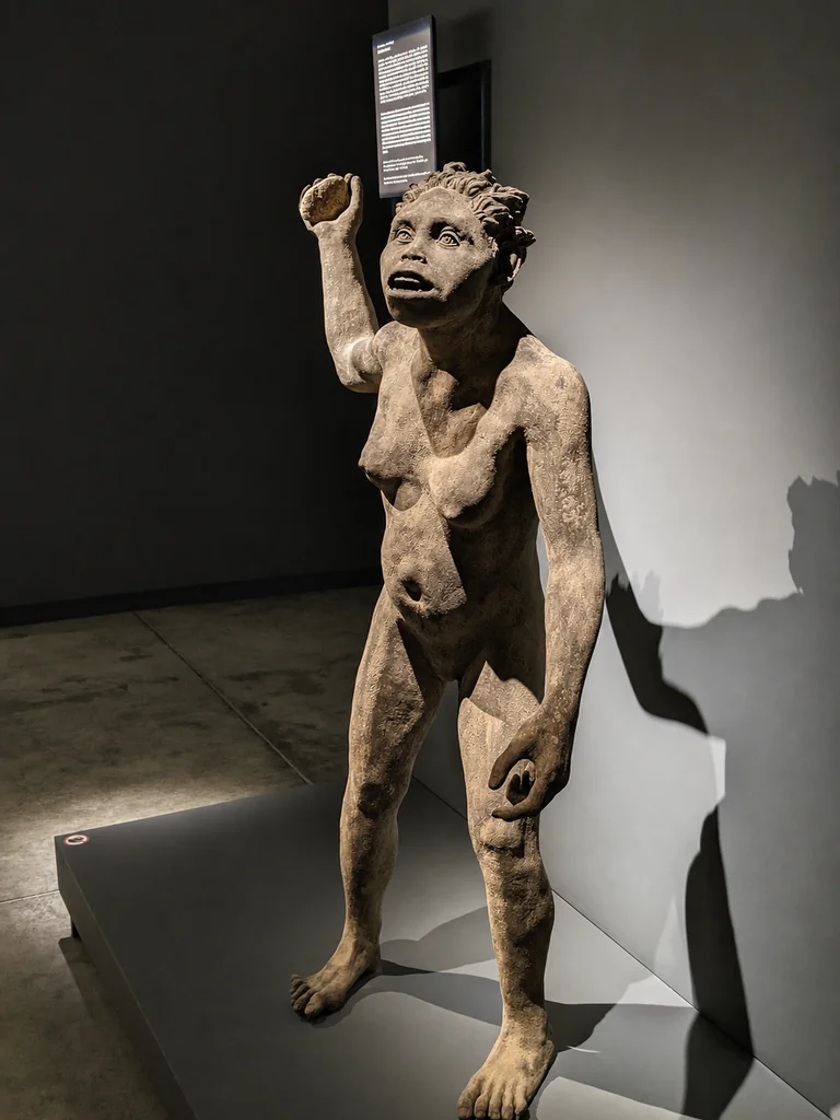 Life-size reconstruction of a Dmanisi hominin holding a stone tool, in the Bolnisi Museum, Georgia