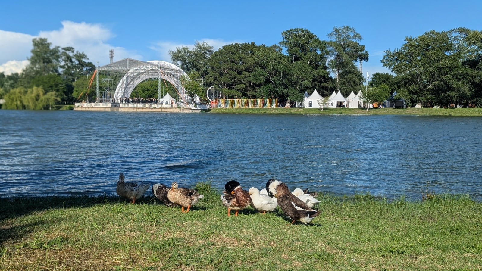 Canards au bord du lac et scène en plein air du Parc central de Rustavi