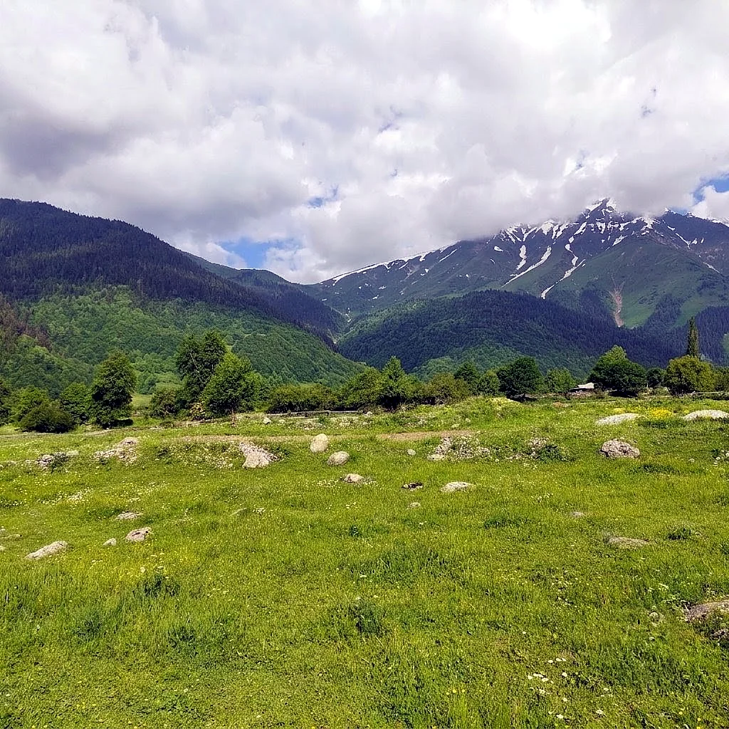 A green alpine meadow scattered with boulders below forested mountains and a snowy peak in Svaneti, Georgia