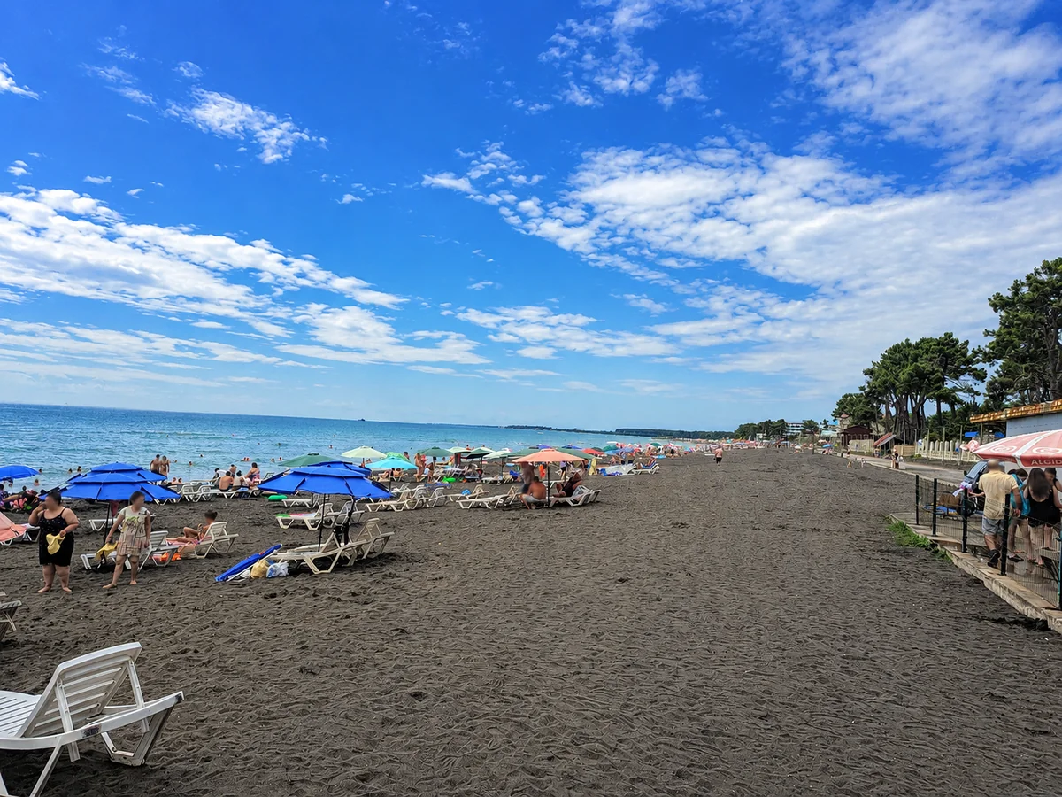 Le rivage d'Ouréki avec des parasols et une rangée de pins le long du sable noir, Gourie, Géorgie