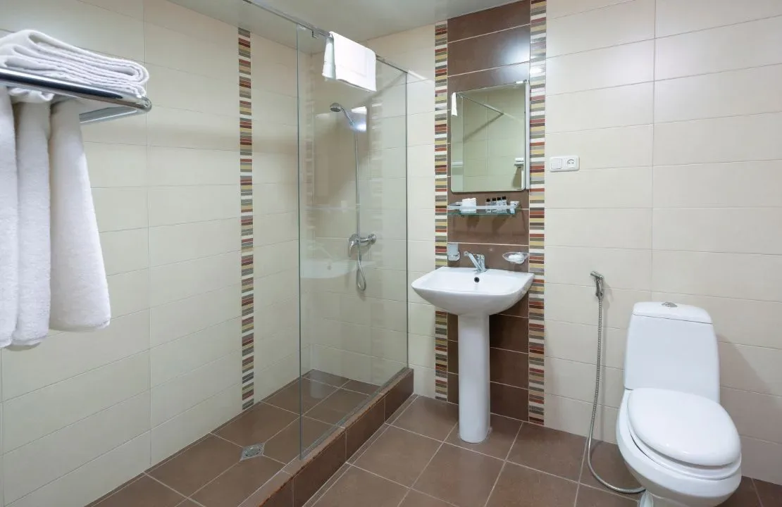Salle de bains avec douche à l'italienne et WC de l'Ani Central Inn