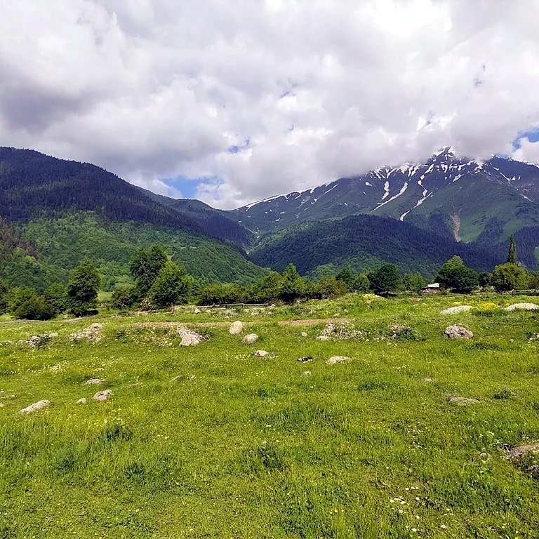 A green alpine meadow below forested ridges and a snow-streaked peak in Svaneti, Georgia